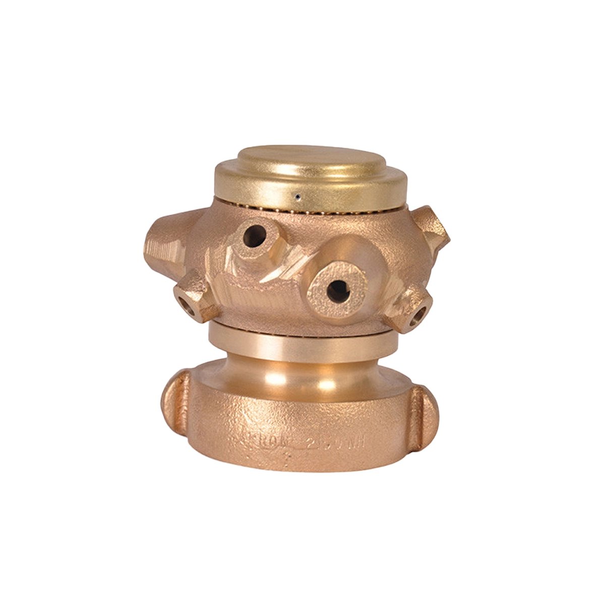 AF241-Regular-View-1200x1200.webp