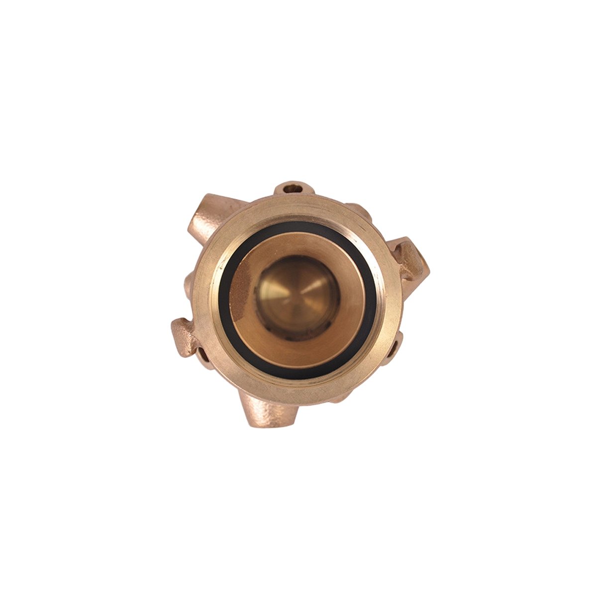 AF241-bottom-View-1200x1200.webp