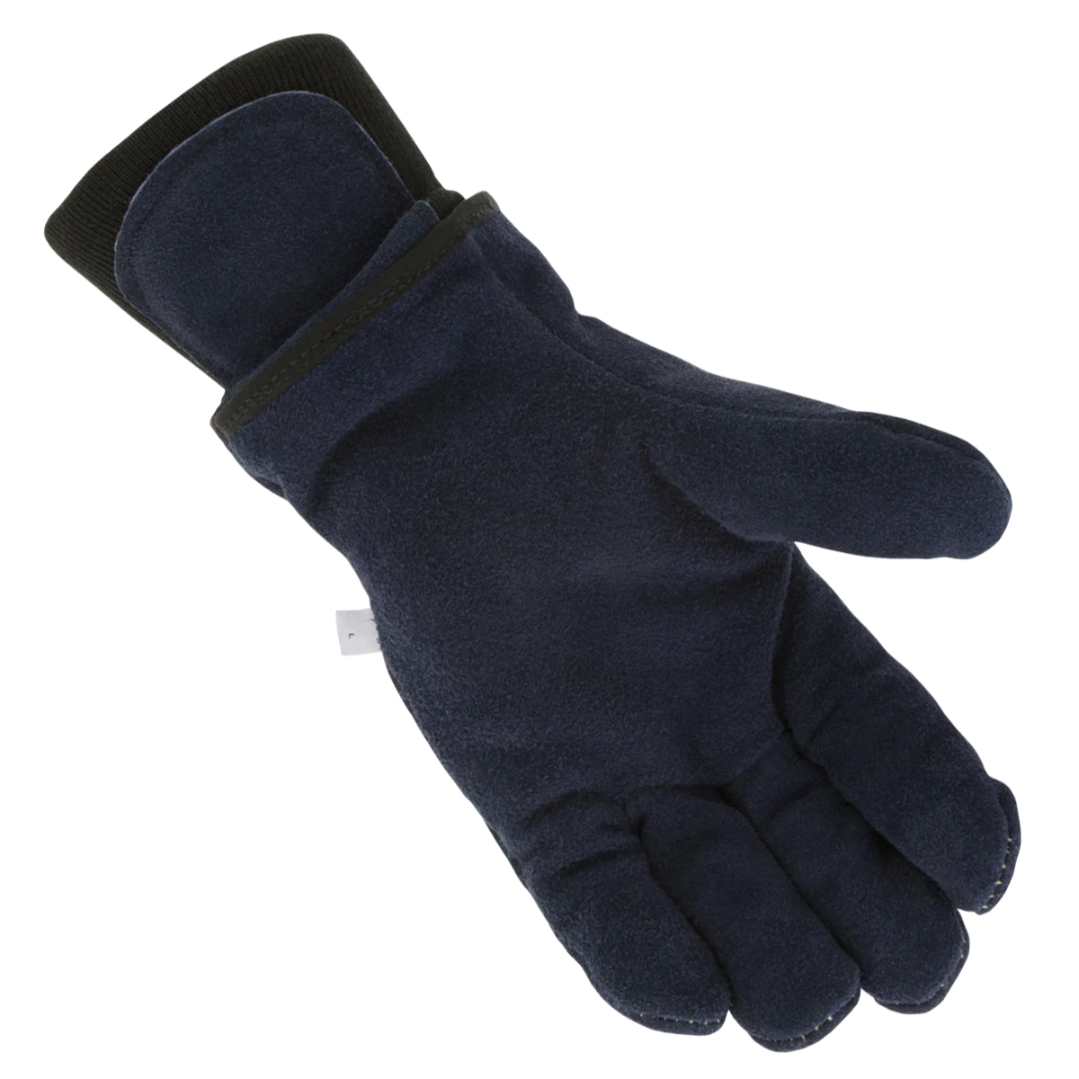 AW122-Palm.jpg