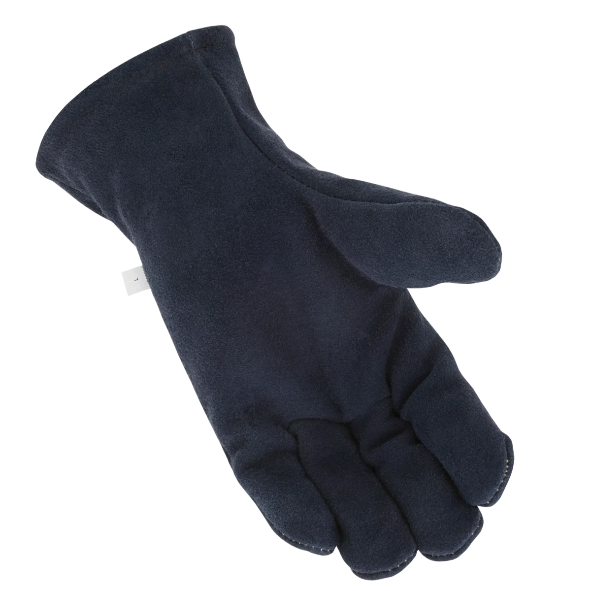 BA002-Palm.jpg