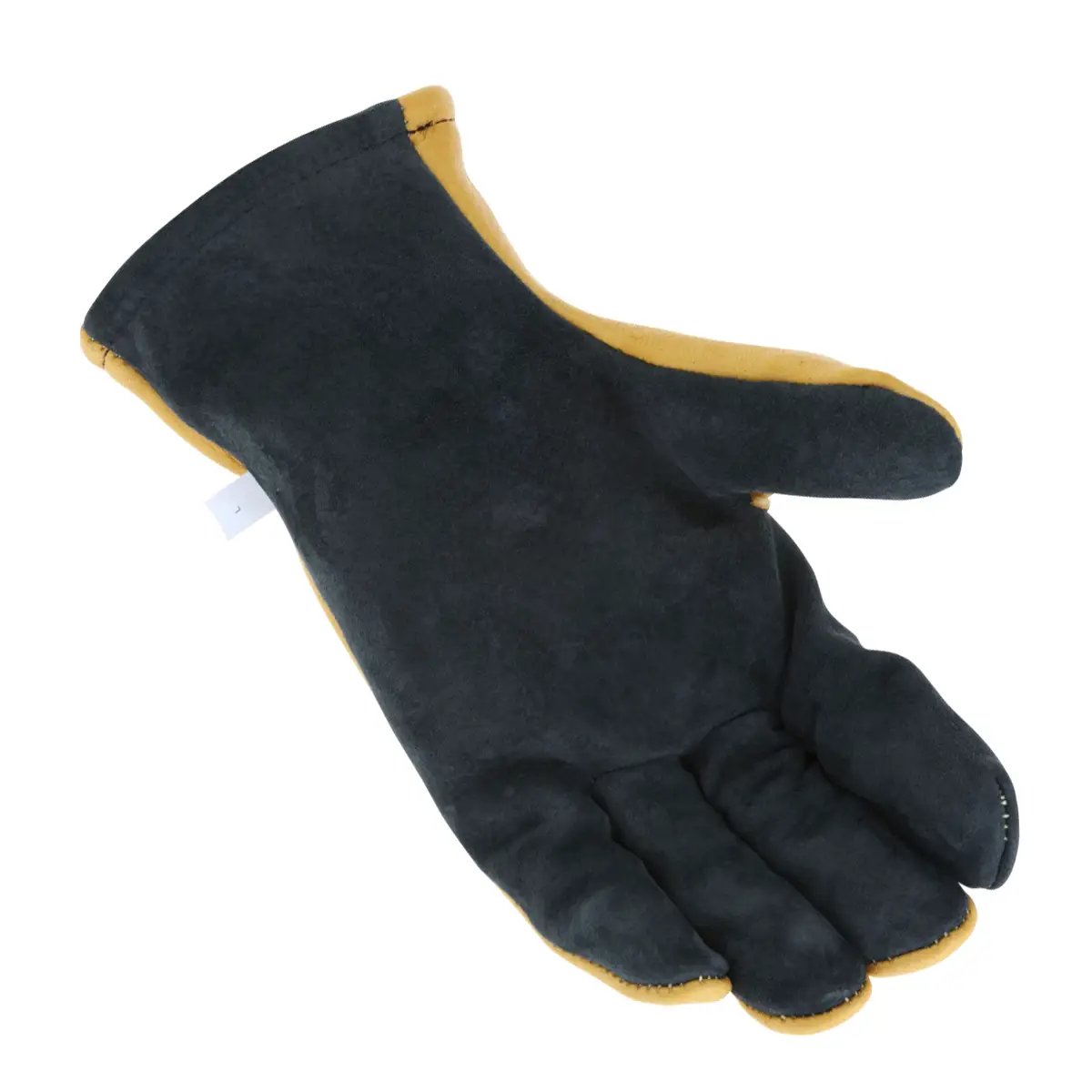 BD144G-palm-1200x1200Big-Bull.webp
