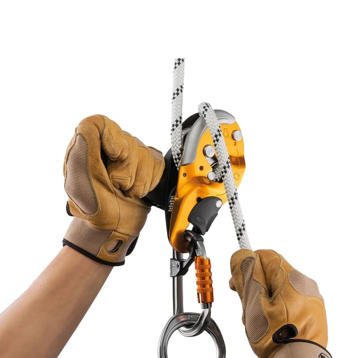 BG121-Action-1200x1200-2026.webp