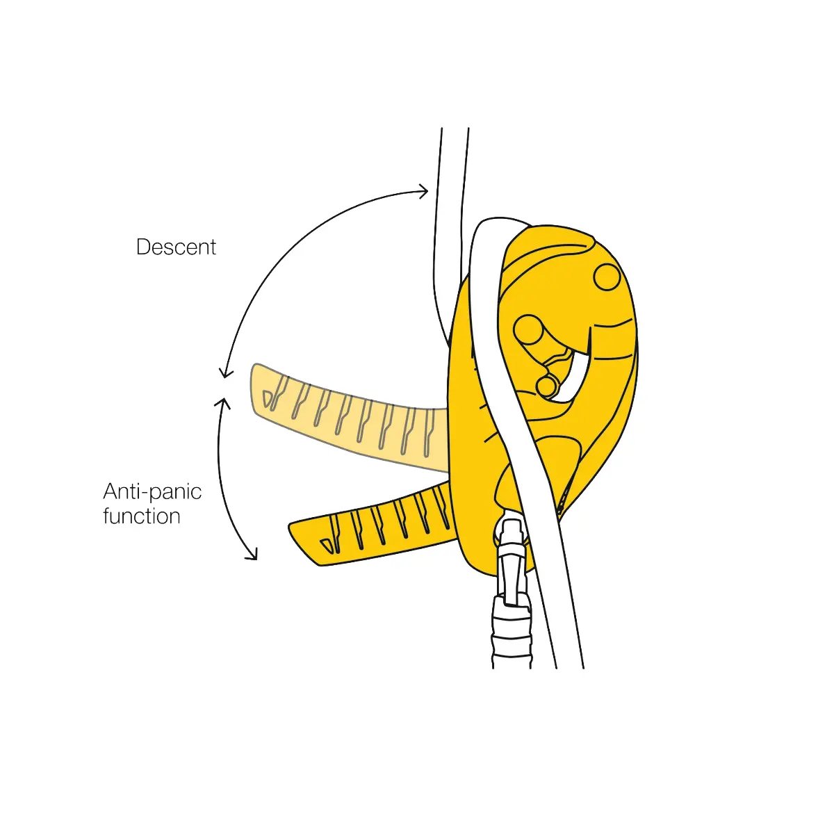 BG121-DEMO-1200x1200-2026.webp