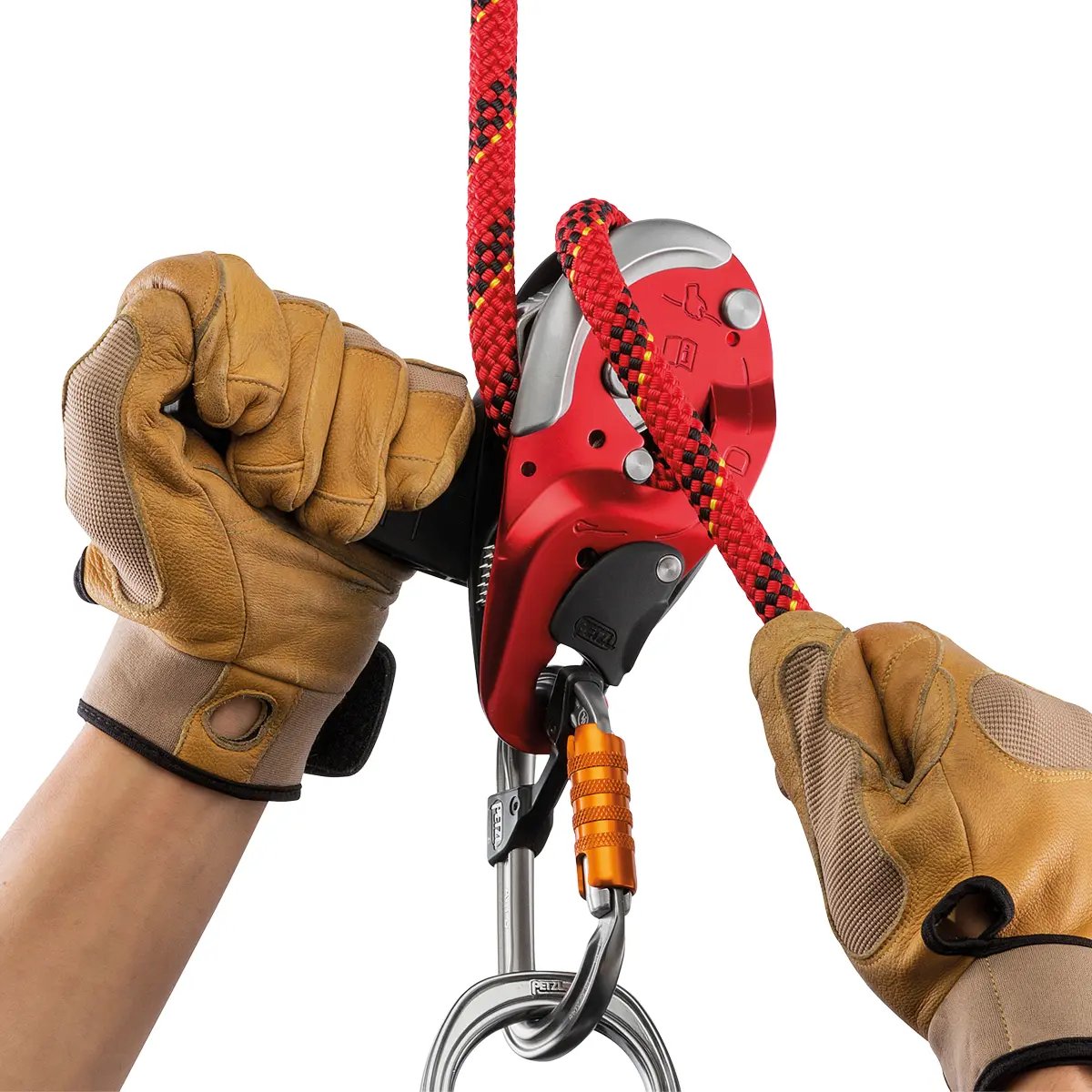 BG122-Action-1200x1200-2026.webp
