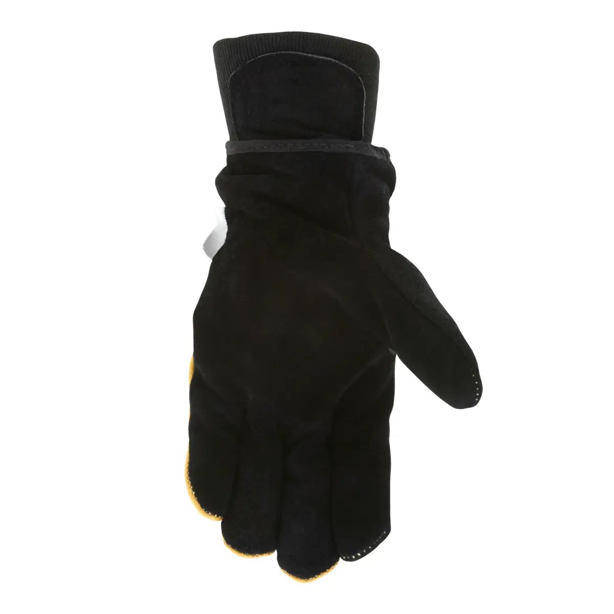 BJ-palm-1200x1200.webp