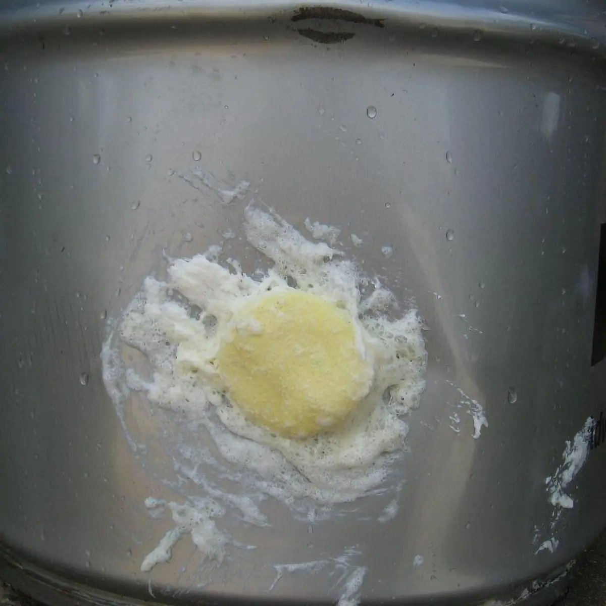 BP120-wp-1200-plugged.webp