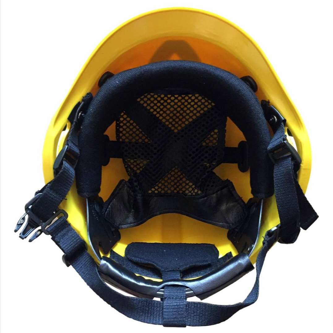 BP891Y.6.png
