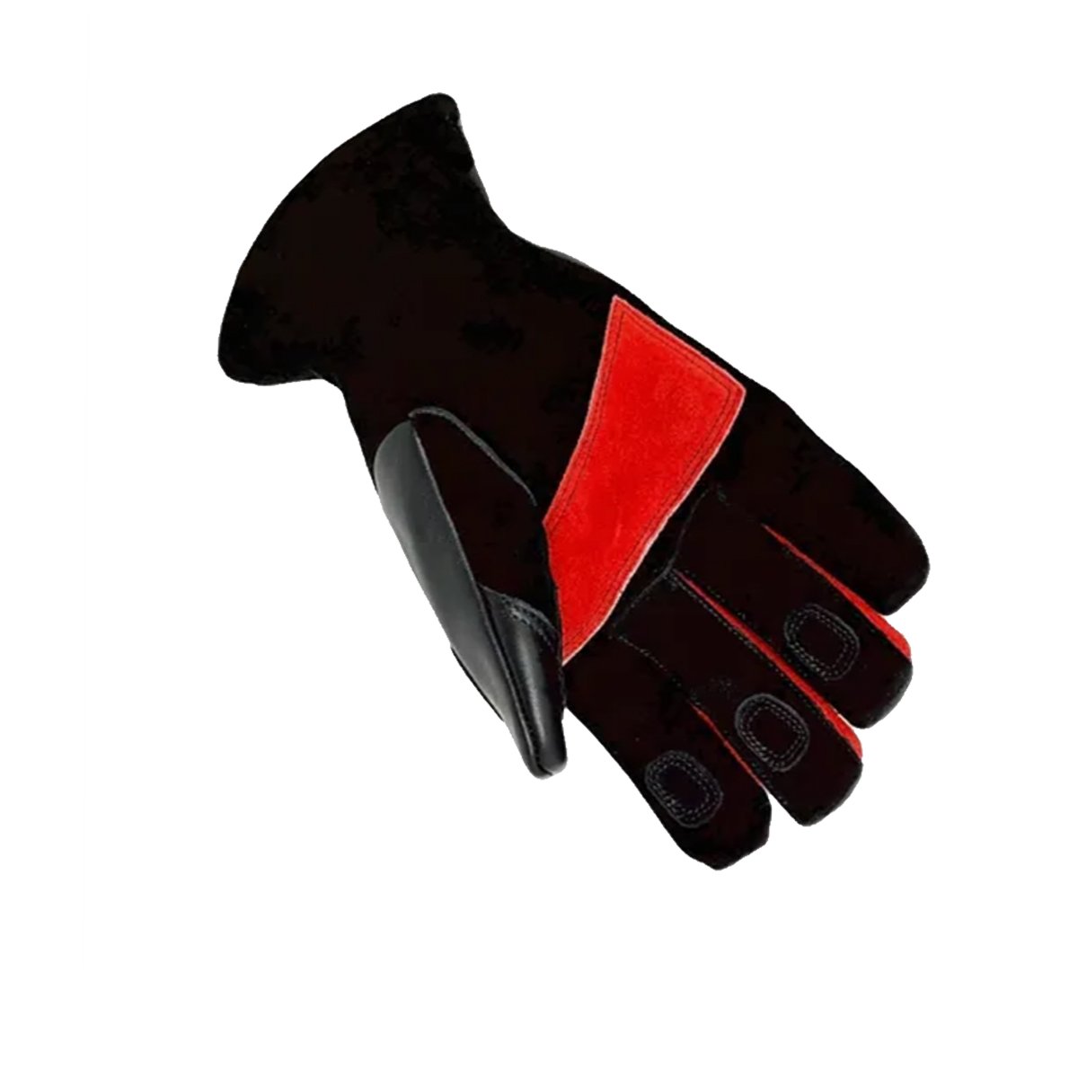 BP998-palm-1200x1200.jpg