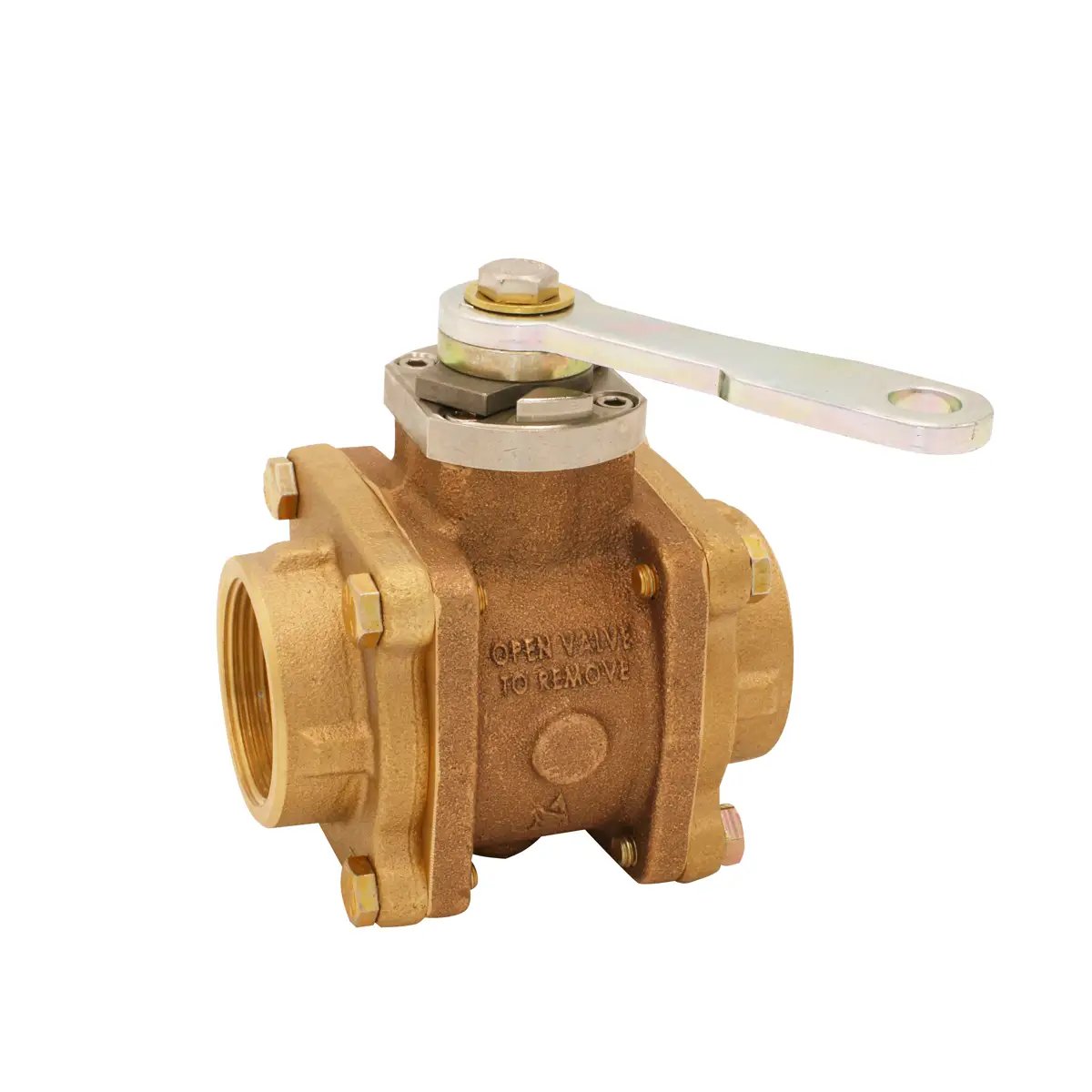 Akron Swing-Out™ Valve with stainless steel ball, Female NPT adapters on both sides and R1 Handle - 1.5"