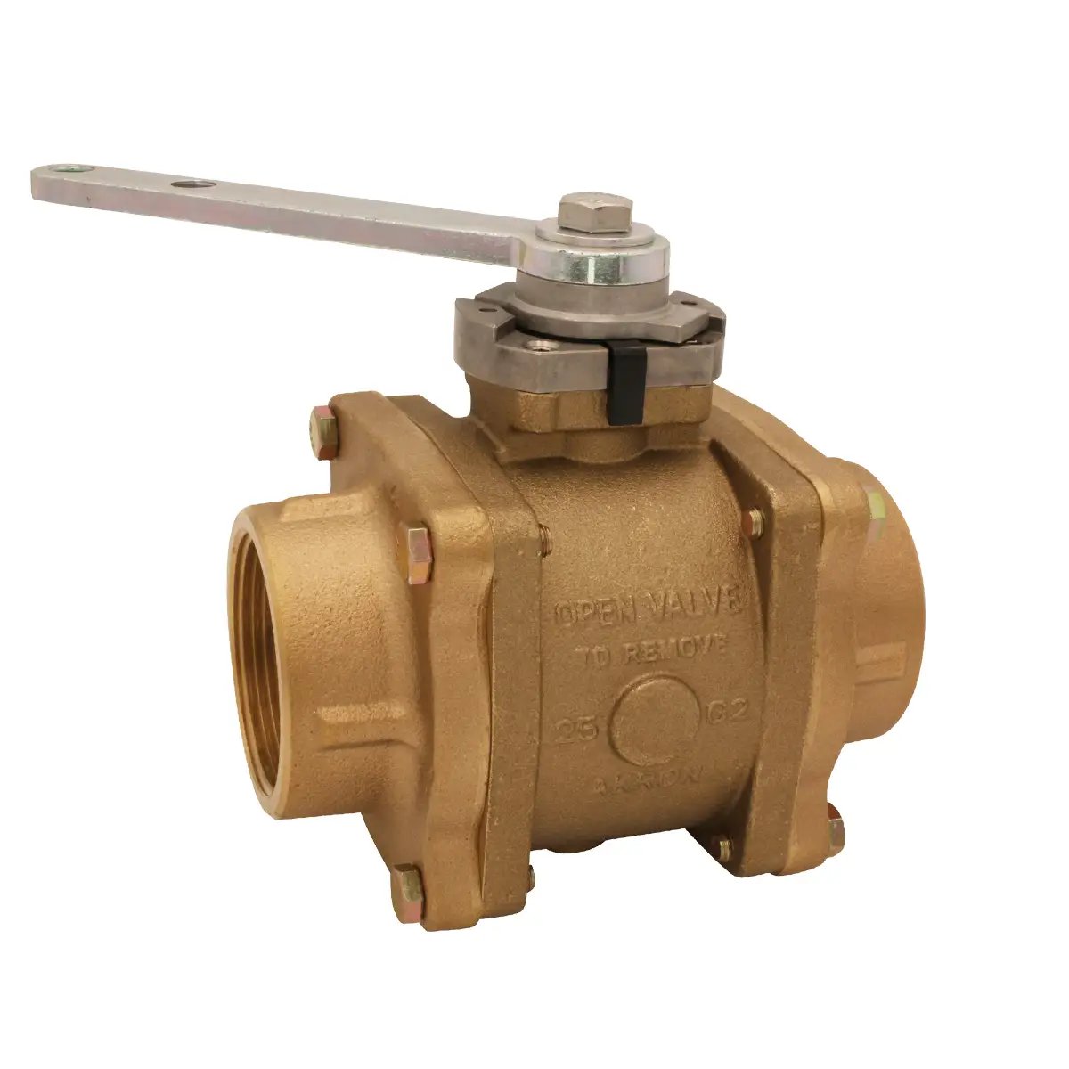Akron Swing-Out™ Valve with stainless steel ball, Female NPT adapters on both sides and R1 Handle - 2.5"