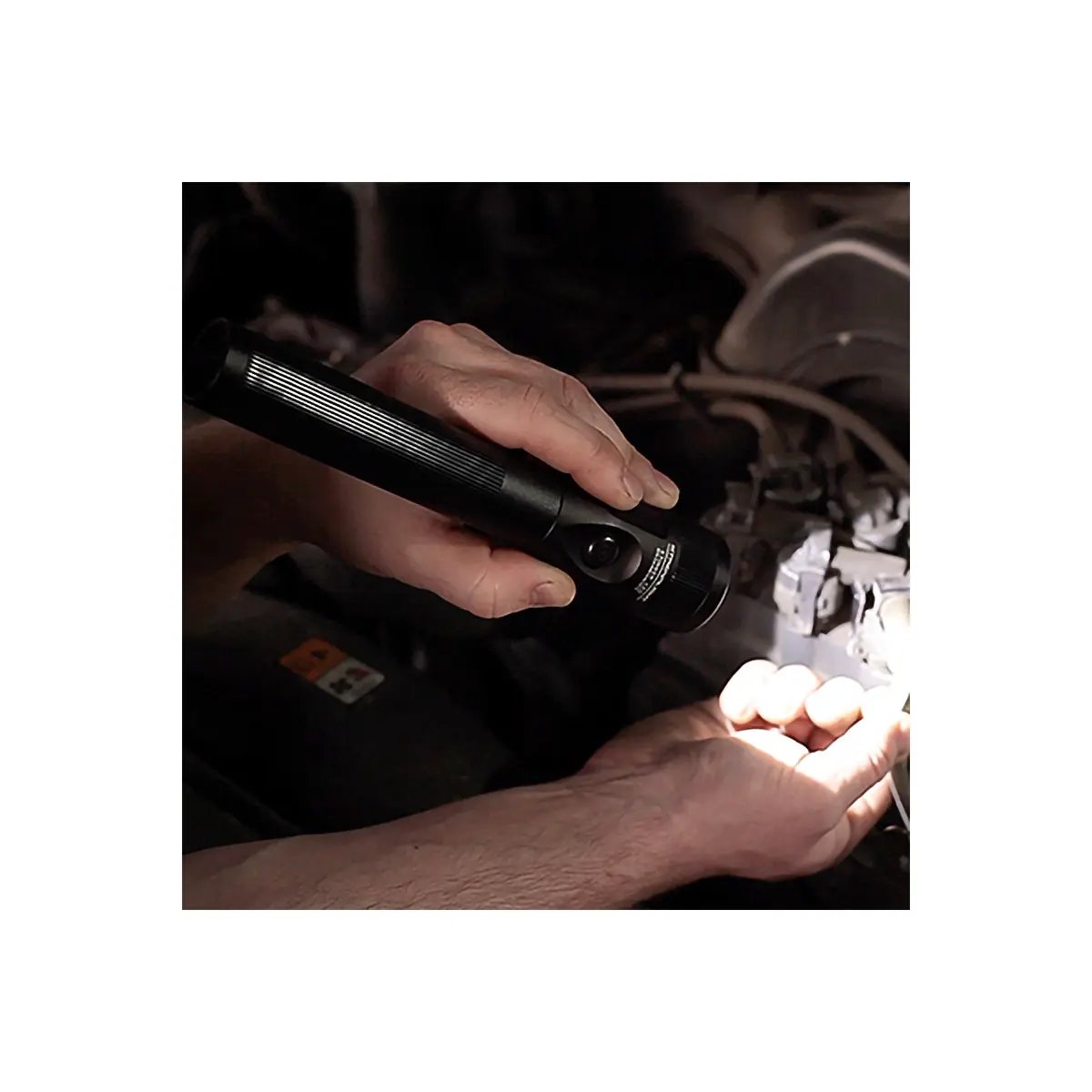 Stinger-1200x1200-2025.webp