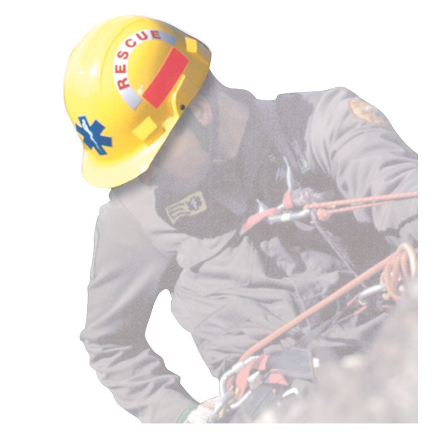 af095_shdw.jpg