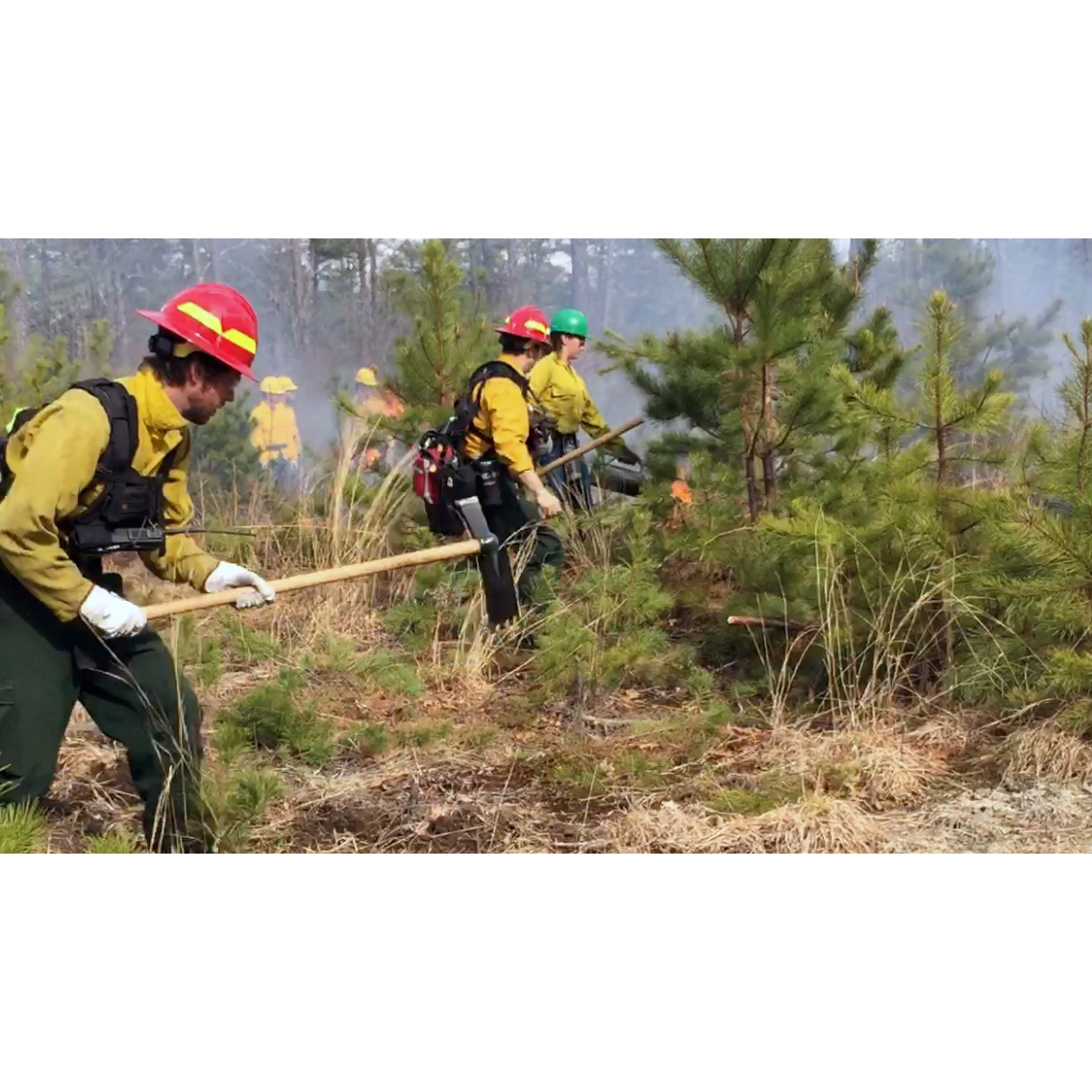 bp837-wildland-firefighters.jpg