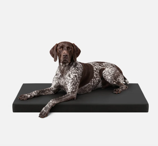 Tough Ripstop™ Orthopedic Dog Crate Bed